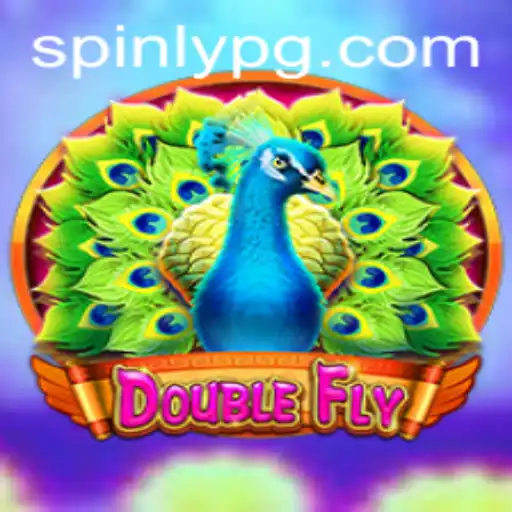 Dive into the Thrilling World of DoubleFly with betpg